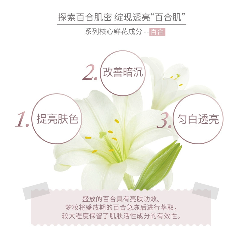 Dream trang điểm bộ sưu tập hoa mờ làm trắng tinh chất kem đêm sửa chữa dưỡng ẩm giữ ẩm chính thức trong nước chính hãng - Kem dưỡng da