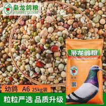 Xiaolong pigeon food young pigeon A6 pigeon pet racing pigeon bird food young pigeon feed factory store Jiangsu Zhejiang Shanghai and Anhui 50 pounds