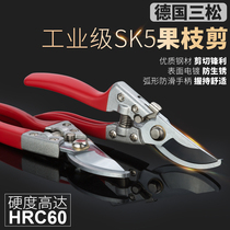 Trim branch scissors garden tools flower scissors gardening scissors pruning shears fruit tree scissors Flower Branch scissors