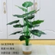18 Вилочный wannian (Baishi_ Nordic White Pot)