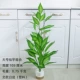 105 Huangxin Sianyu Group (Nordic Baishi)