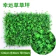 Rice White Lucky Grass Lawn