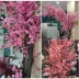 Mô phỏng Hoa đào cành hoa giả Hoa đơn khô Hoa trang trí phòng khách Twig Hoa mận Hoa giả Cây giả trang trí sân vườn - Hoa nhân tạo / Cây / Trái cây