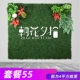 Rose Red Package 55