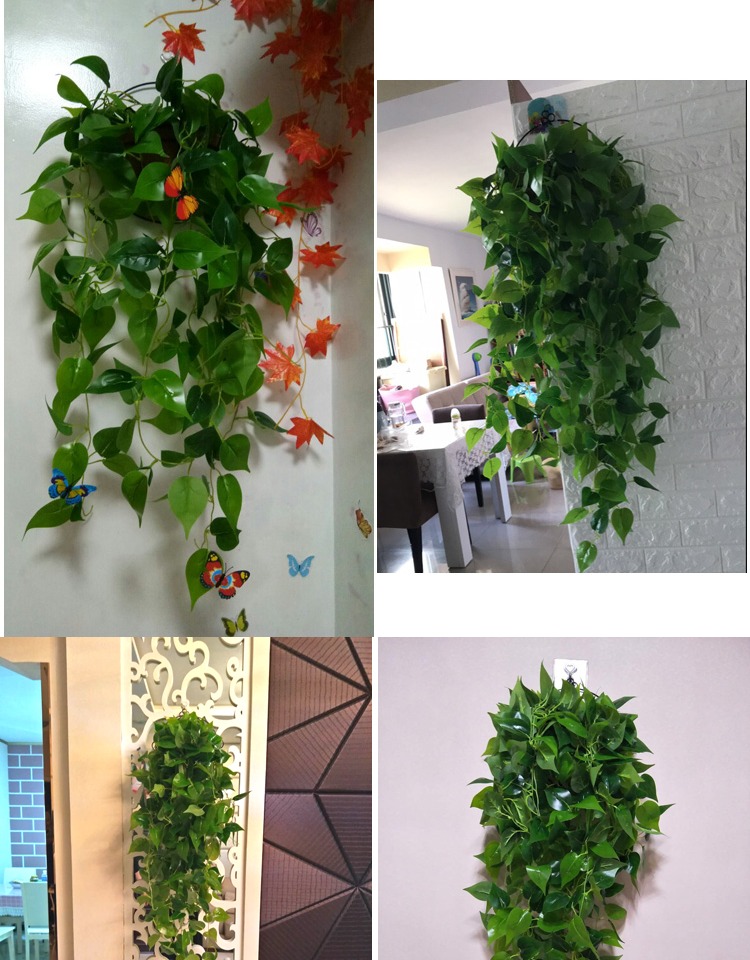 Cây mô phỏng hoa giả mây xanh cây xanh lá xanh treo lá phong lan trong nhà treo tường trang trí treo tường treo - Hoa nhân tạo / Cây / Trái cây lan giả hạc đột biến