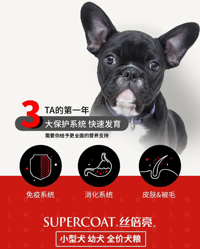 Silk đôi sáng Teddy thức ăn cho chó con chó con chó nhỏ đặc biệt hơn 1,5kg so với Xiong Bomei Kejimei lông đến nước mắt bánh sữa - Chó Staples thức ăn cho chó mẹ sau sinh