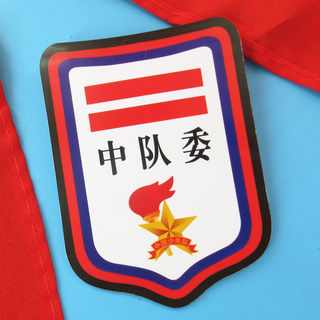 Squadron committee armband brand young pioneers class cadre badge pin-type armband primary school team cadre armband