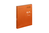 China Academy of Art Artist Series: Zhi Min