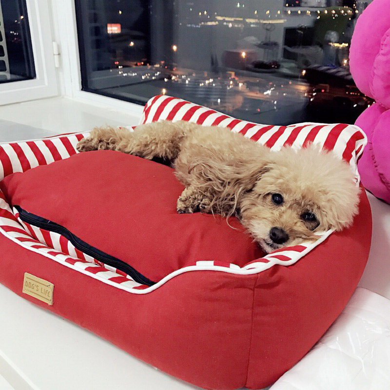 Dog Nest Removable washout teddy Four Seasons GM Golden Hair Pet Dog Mattress Sub bibi Bears Beauty Large Dog Dog Supplies-Taobao