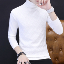 Autumn and winter turtleneck sweater mens solid color bottoming knitwear Korean slim sweater trend mens casual sweater