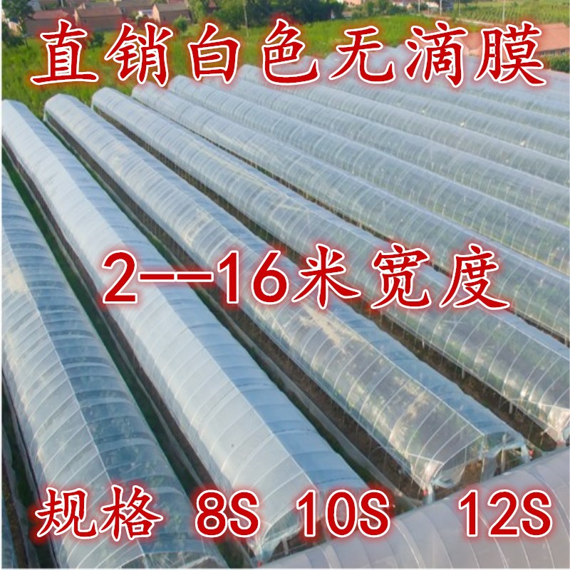 White no drop film thickened transparent plastic film greenhouse film Vegetable Insulation Shed film black and white film