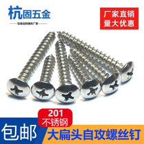 201 stainless steel cross large flat head self-tapping screw lengthened mushroom head umbrella head sharp tail wood tooth screw M5