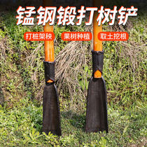 Forging and shovels manganese steel thickened Luoyang shovel Outdoor digging earth digging pit dug tree agricultural landscaping tool shoveling tree root digging ditch