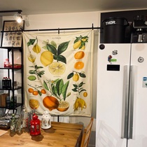 American Artist Citrus Lemon Citrus Citrus American Cavallini Retro American Countryside