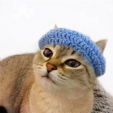 Ювелирные украшения для питомца кошачья кошка монохромные