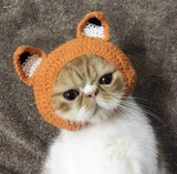 Рука -Недостатка кошачья голова обложки мультфильма лиса в форме кошачья и собачья шляпа Пефестивальная шляпа мяч вечеринки