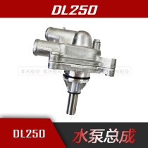 DR300 Cooling Water Pump Engine Pump Original Plant