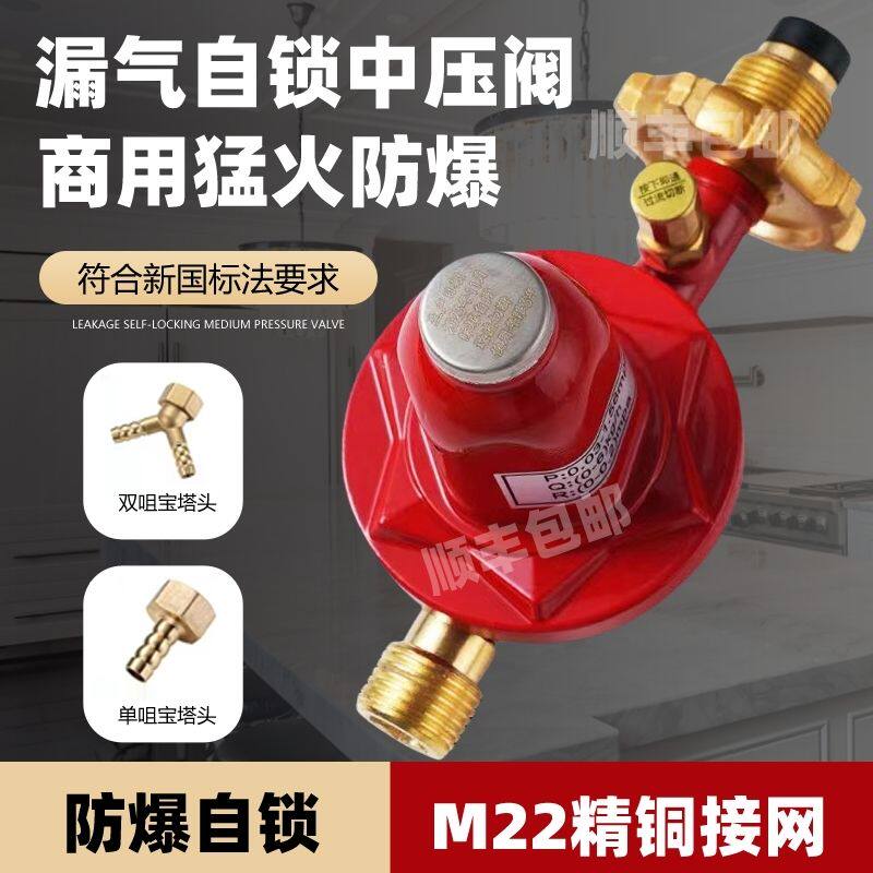 德国进口液化气高压双嘴一托二定压型猛火中压不可调防爆减压阀一