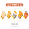 【5 Double Instation】 Light yellow round face children's socks