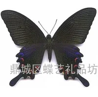 Bi Teng Butterfly 10 см