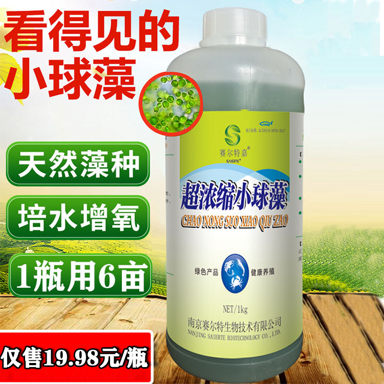 浓缩小球藻种水产养殖调水净水增氧虾蟹养殖肥水培藻蛋白核小球藻