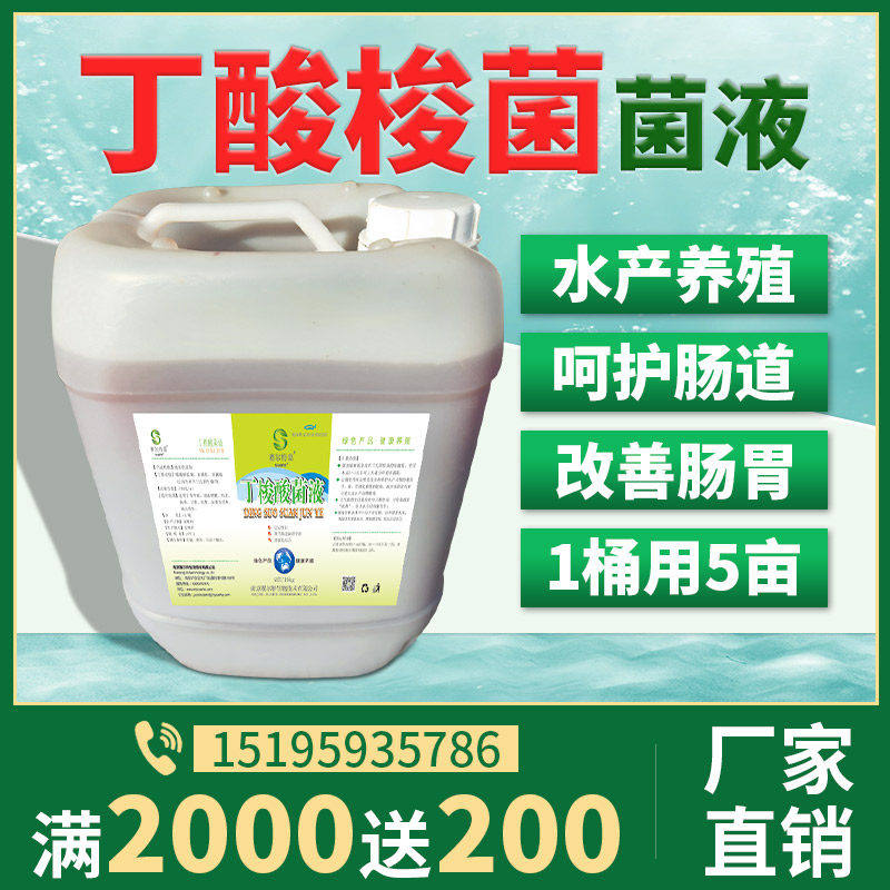 丁酸梭菌丁酸菌丁酸梭状芽孢杆菌酪酸菌水产养殖虾蟹鱼塘菌种