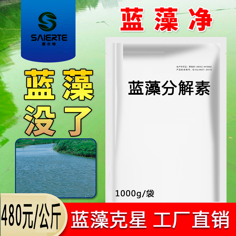 蓝藻分解素精酶鱼塘蓝藻净生物除蓝藻一泼净生态除藻剂速灭杀克星