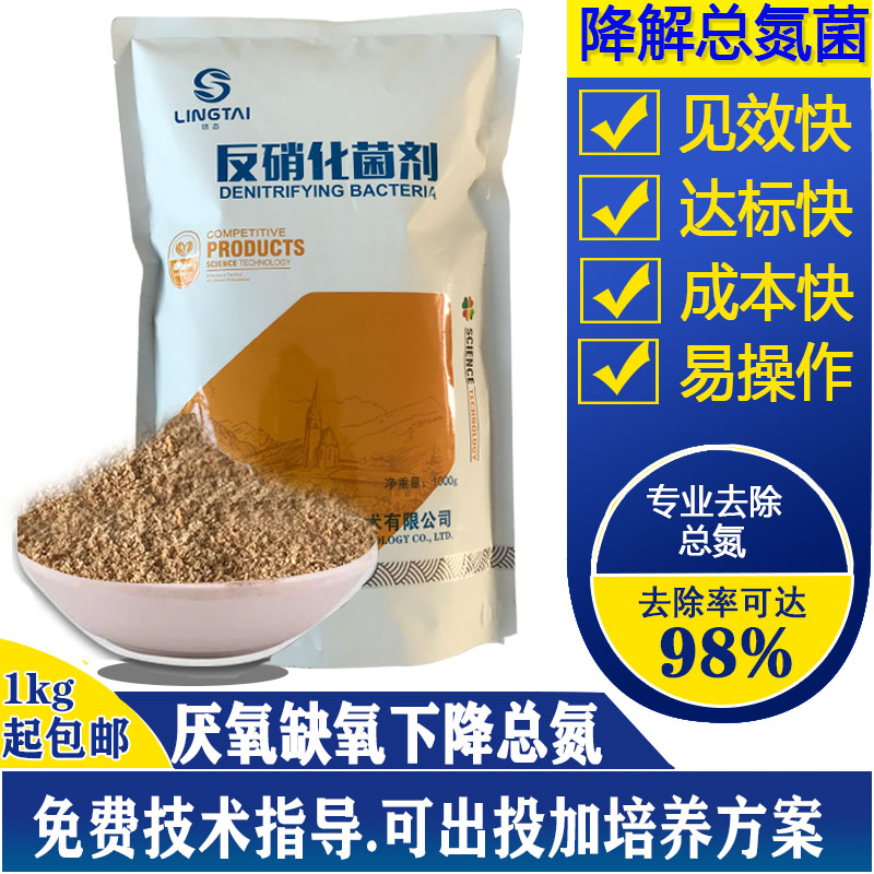 反硝化菌总氮菌污水处理菌厌氧菌缺氧池去除总氮生物挂膜复合菌种