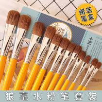 Shis Picasso yellow long rod gouache set 6 single and double wolf brush oil painting acrylic brush send pen box