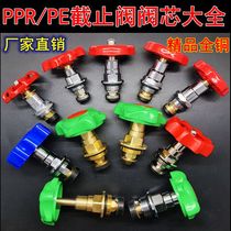 Project PPR globe valve spool boutique copper spool lifting core dn20 dn40 dn50 dn50 dn63 dn75