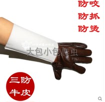 Reptile lizard tortoise pet anti-bite anti-bite anti-cat dog corner frogs green hyena Plains Bull Leather Gloves anti-scalding