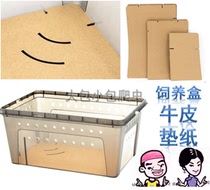 FEEDING BOX SPECIAL KRAFT PAPER MAT MATERIAL PATRON LIZARD TOY COLOR PAD MATERIAL TISSUE PET BOX PAD PAPER MULTI-SPEC