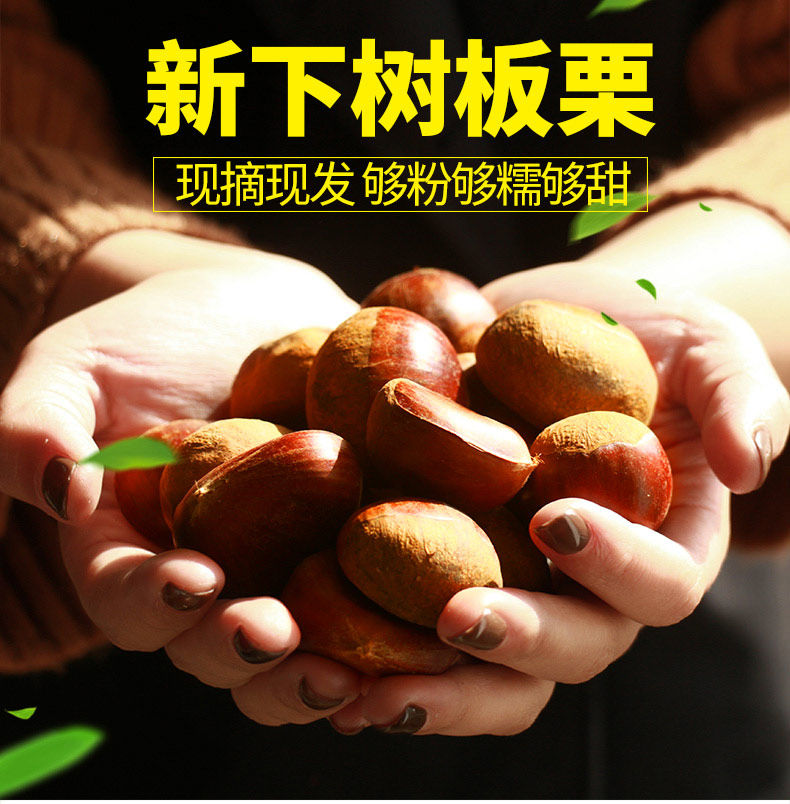 甲午先生 新鲜丹东生板栗 现摘毛栗子3斤 天猫优惠券折后¥18.9包邮(¥21.9-3) 甲午先生 新鲜丹东生板栗 现摘毛栗子3斤 天猫优惠券折后¥18.9包邮(¥21.9-3)