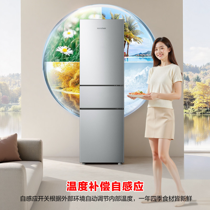 容声BCD-216E10RNLAD冰箱图片