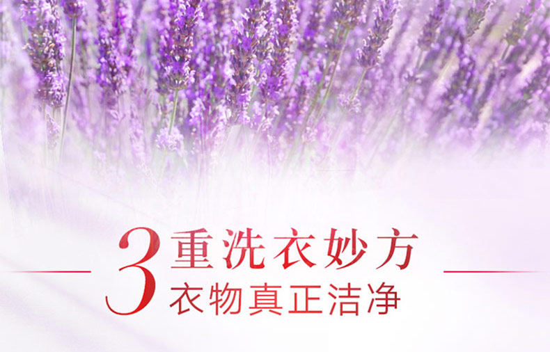 奥妙洗衣粉家庭装薰衣草香袋 奥妙洗衣粉家庭装薰衣草香袋