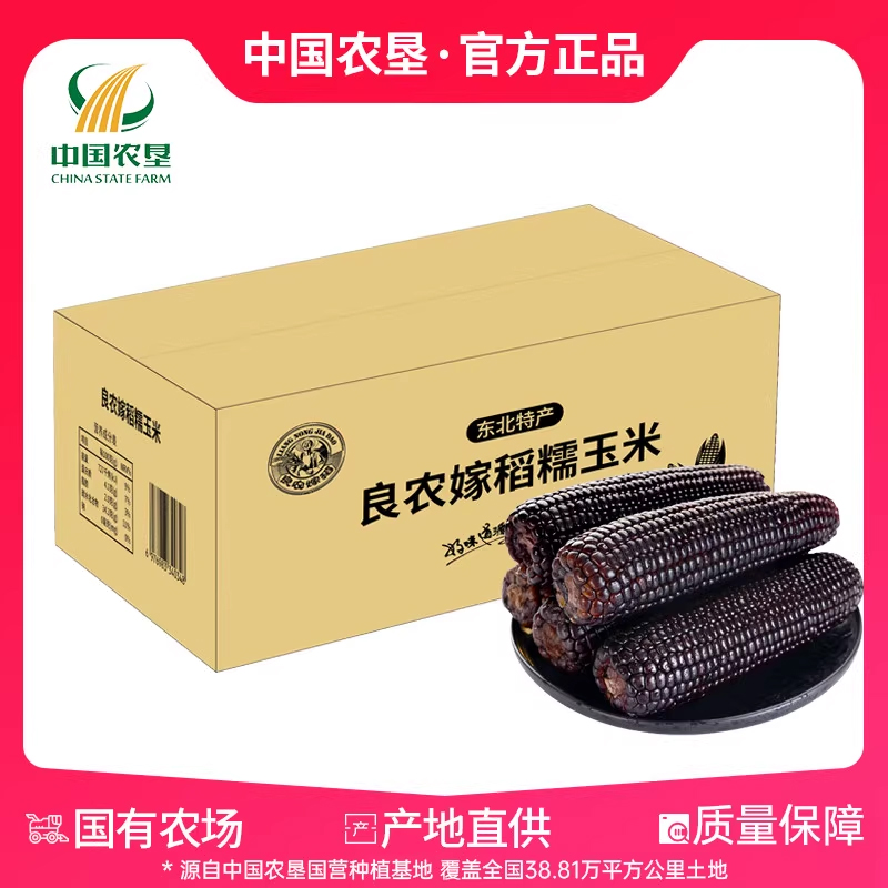 Black waxy corn 10 packs of corn on the cob vacuum packaged heated ready-to-eat whole grain meal replacement 250g