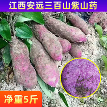 Jiangxi Gannan Purple Yam With Gree Sweet Potato Board