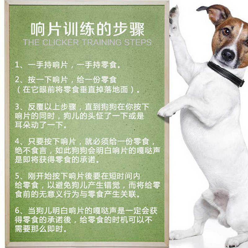 響片訓狗球寵物訓練飛盤狗狗超音波犬笛訓犬零食腰包影片教程用品 響片訓狗球寵物訓練飛盤狗狗超音波犬笛訓犬零食腰包影片教程用品