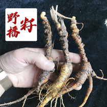 Fresh forest ginseng Changbai Mountain Wild mountain ginseng Wild stump residual mountain ginseng Pool bottom seed cargo rust ginseng 15-20-30 years