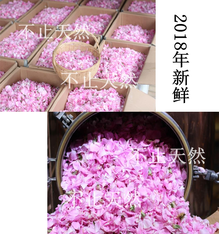 Fresh Damascus Rose Pure Dew Soda Chưng cất Nước hoa thiên nhiên tự nhiên mà không đề cập đến tinh dầu - Tinh dầu điều trị tinh dau xit phong
