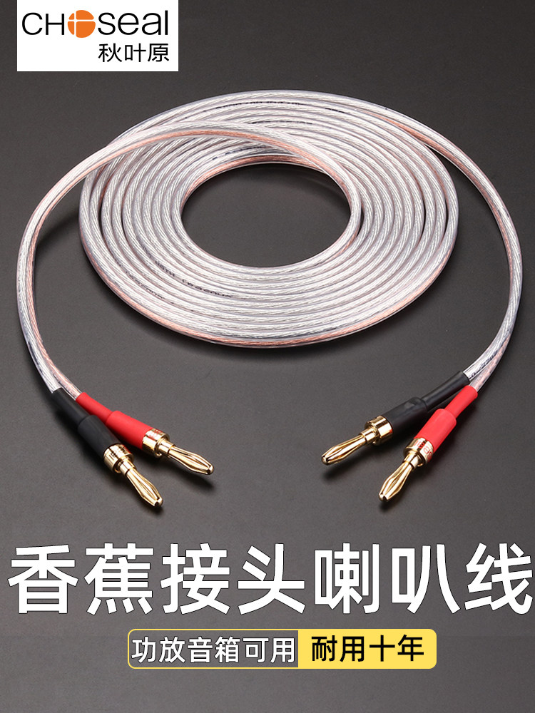 Akihabara Speaker Cable Audio Cable Banana Main and Auxiliary Speaker Cable Audio Connection Cable Professional Surround Speaker Cable