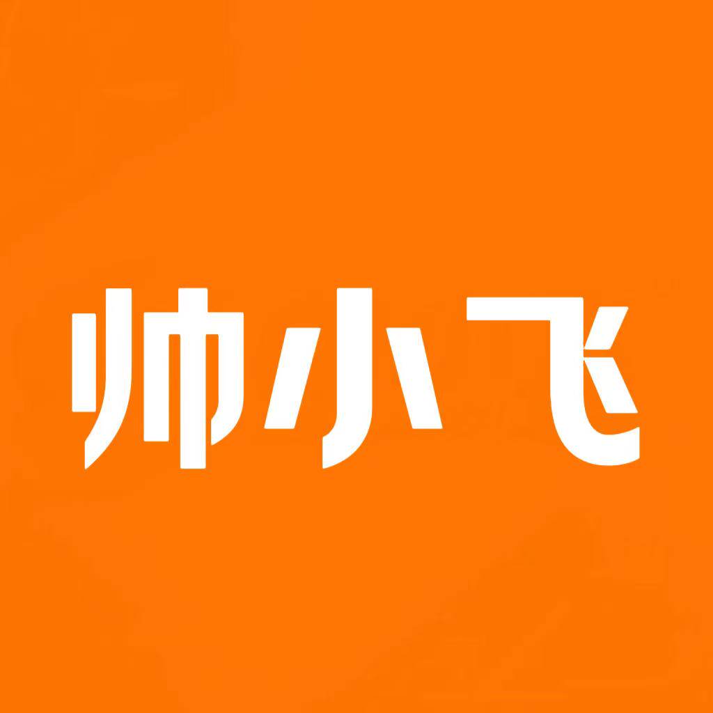 帅小飞甄选数码店的LOGO