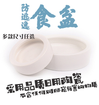 Reptile anti-escape food basin Anti-escape climbing pet lizard palace guard maned lion climbing pet bread worm Barley worm Sterile ceramic