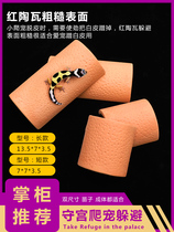 Climbing PET BAO WEN GUARDING THE PALACE fat-TAILED SMALL LIZARD pet spider red POTTERY TO AVOID THE HOLE LAIR moisturizing HELPS PEELING