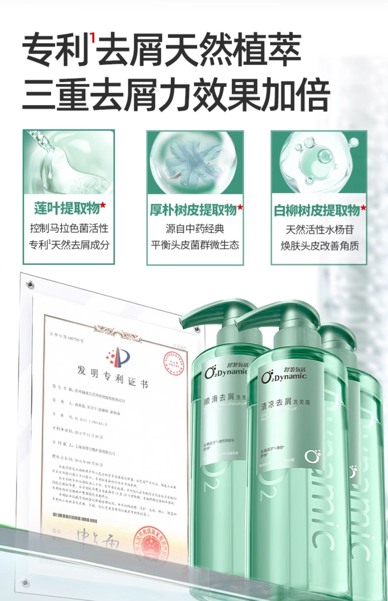 Slex 舒蕾 氧活控油/轻凉/顺滑去屑洗发露 400g 任选3件 双重优惠折后￥49包邮