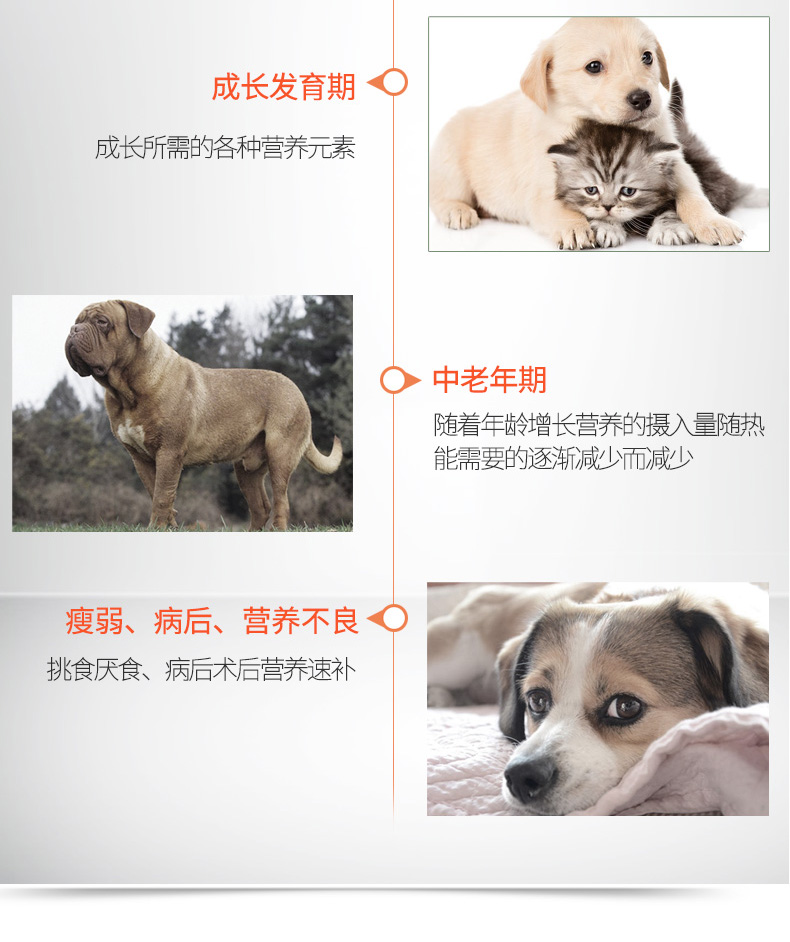 Red Dog dinh dưỡng kem Dog Cat Blue White Demi Puppy Puppy Pomeranian Dog Pet Dinh dưỡng toàn diện RedDog - Cat / Dog Health bổ sung sữa cho mèo