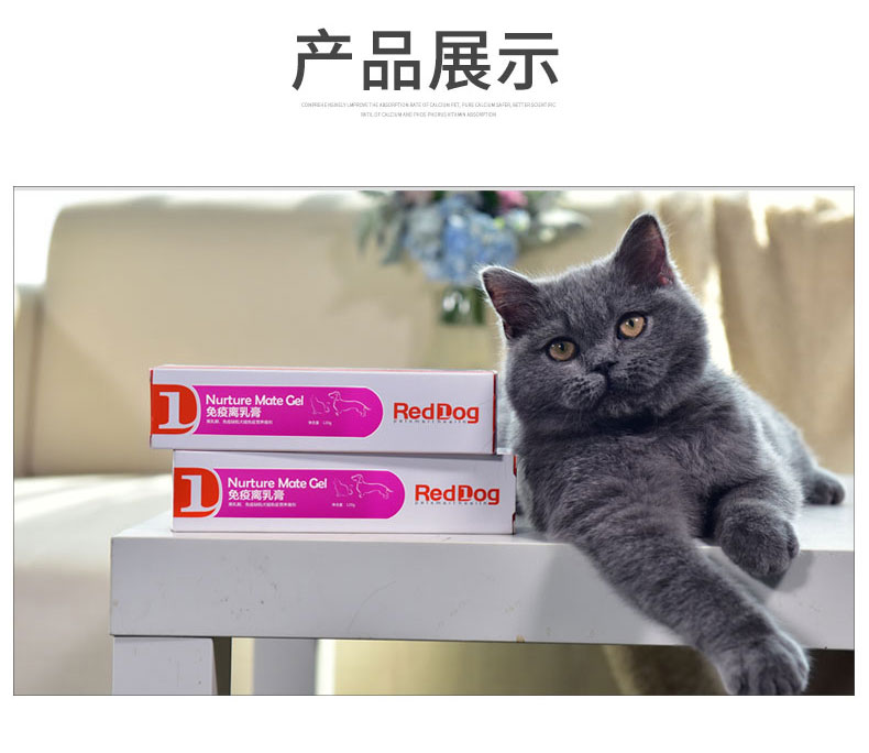 Chó đỏ, kem, chó con, chó con, vật nuôi, kem dinh dưỡng, miễn dịch, nuôi dưỡng, canxi, mua một tặng một bát - Cat / Dog Health bổ sung sữa cho chó tốt nhất	