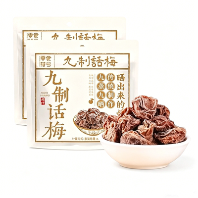 正宗九制话梅广东潮汕广式话梅干果脯蜜饯泡水官方旗舰店HH