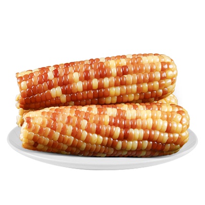 岁浓东北有机黄糯甜玉米真空装