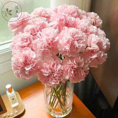 悦多彩AB级康乃馨鲜花母亲节送礼